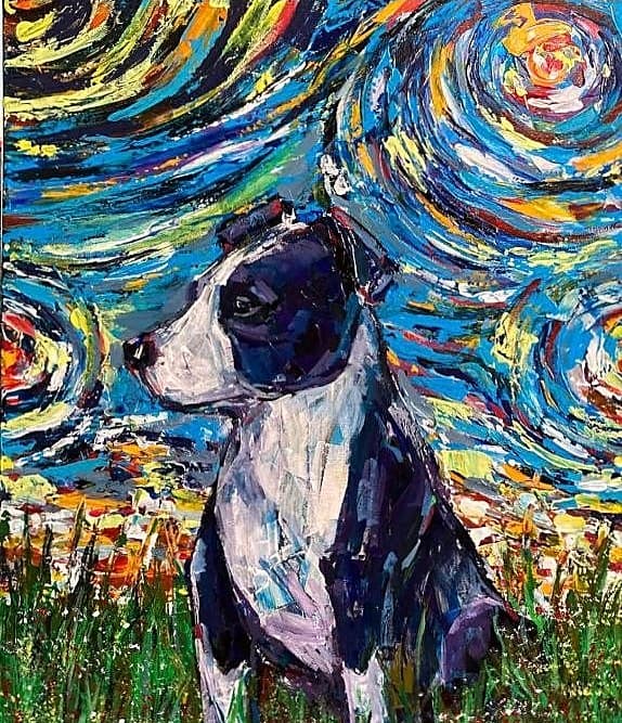 Geantă canvas pictată